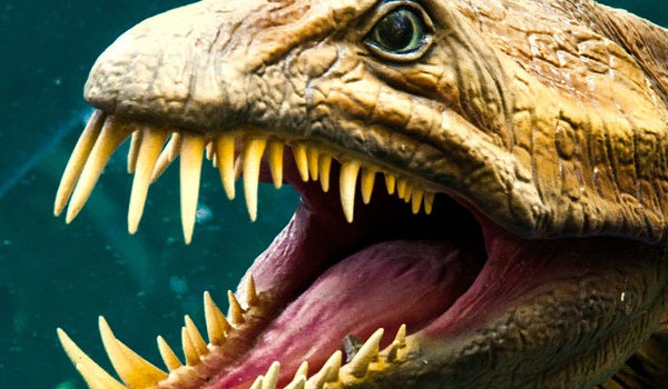 Senckenberg Museum: Dinosaurier live erleben