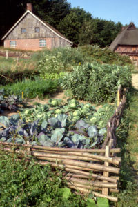 Freilichtmuseum am Kiekeberg - Bauerngarten vor der Schmiede aus Pattensen von 1800 - Foto FLMK